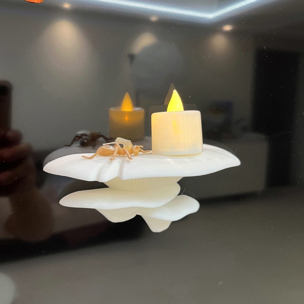 Espositore per Funghi 3D Stamp - Office Furniture And Desks recensione e prezzo
