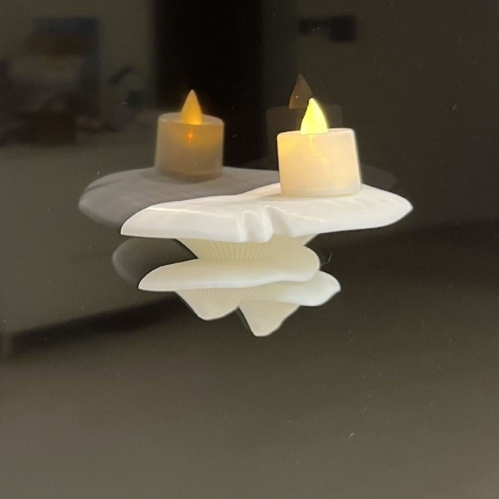 Espositore per Funghi 3D Stamp - Office Furniture And Desks recensione e prezzo