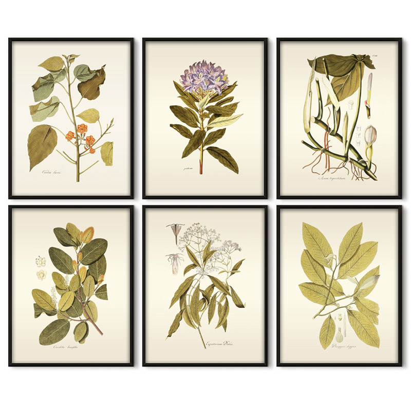Pianta erbacea Wall Art Painti - Office Furniture York recensione e prezzo